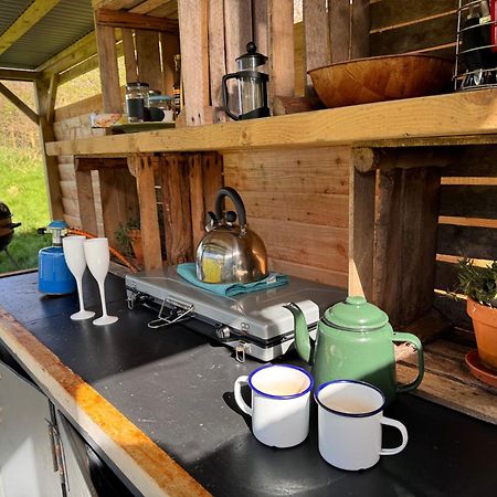 Hotel Geodesic Dome Glamping Llanidloes Zewnętrze zdjęcie