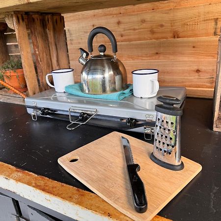 Hotel Geodesic Dome Glamping Llanidloes Zewnętrze zdjęcie