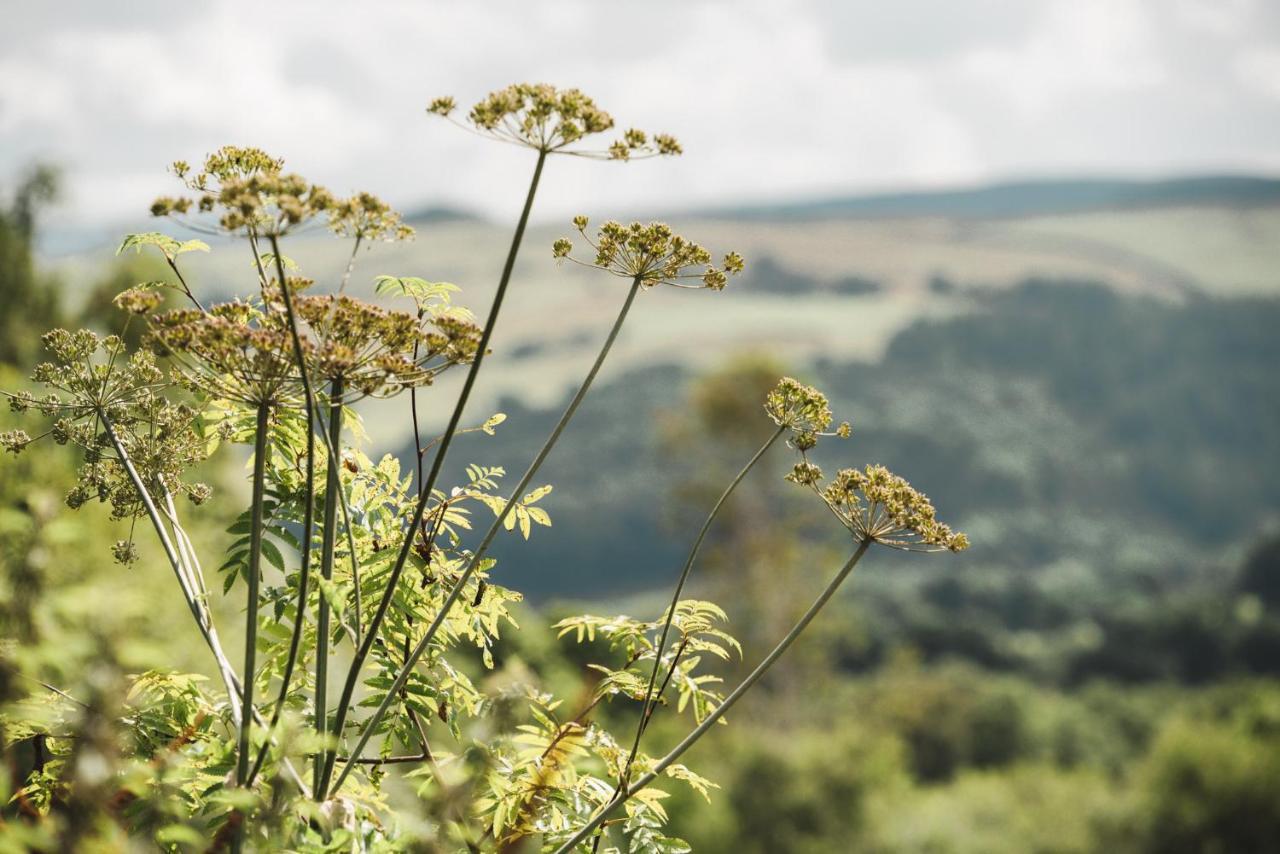 Hotel Geodesic Dome Glamping Llanidloes Zewnętrze zdjęcie