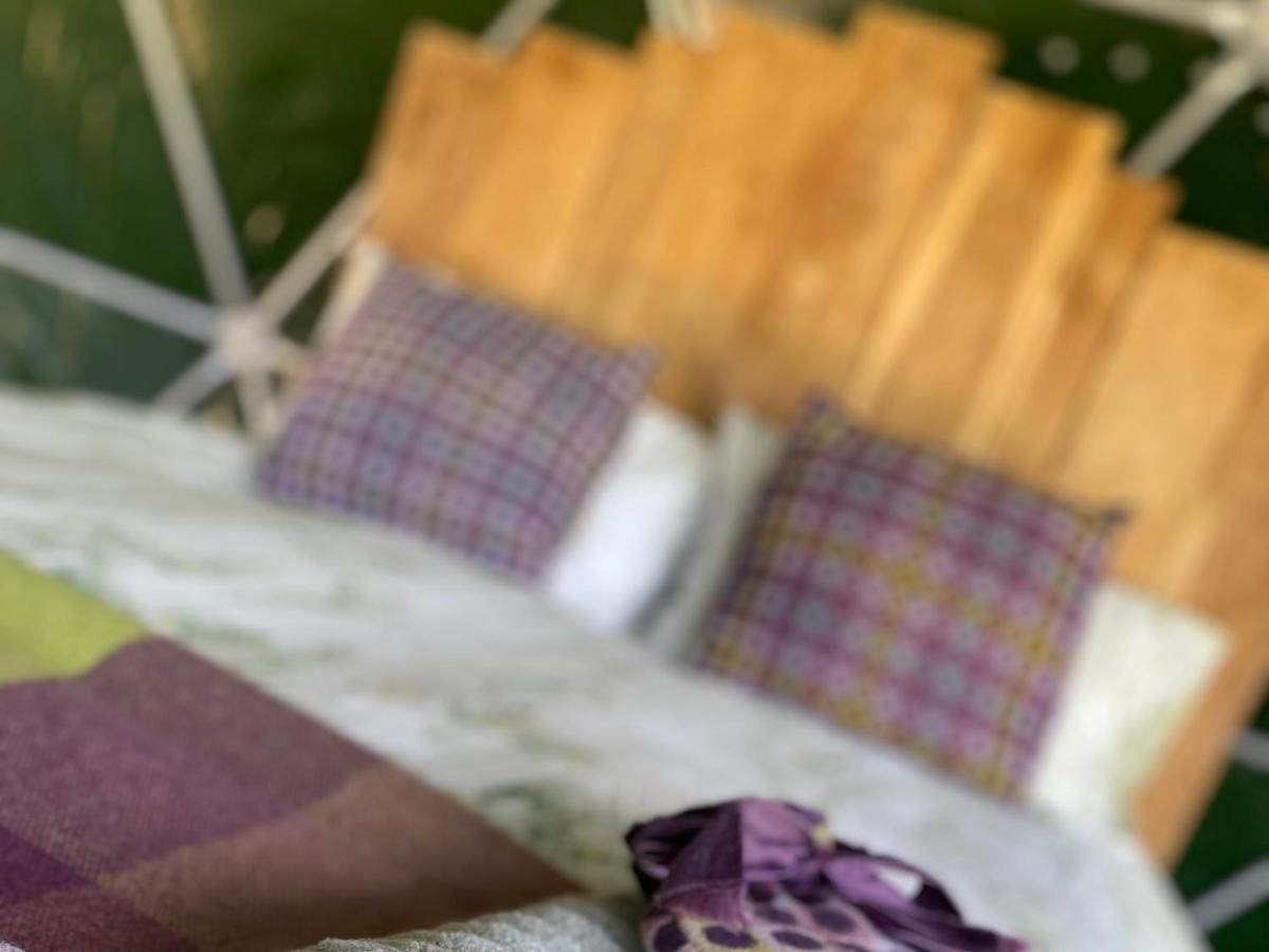 Hotel Geodesic Dome Glamping Llanidloes Zewnętrze zdjęcie