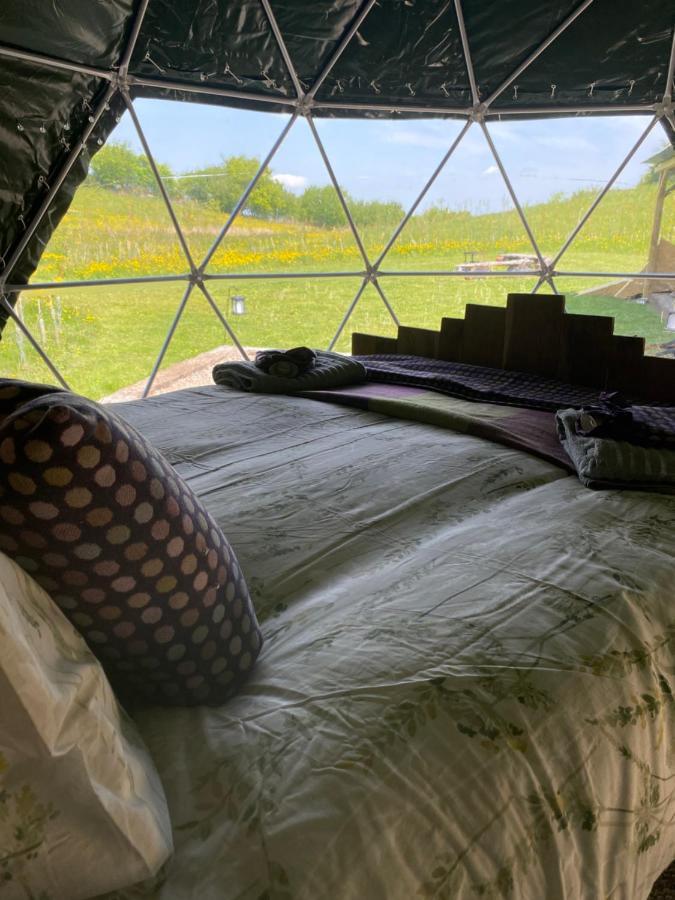 Hotel Geodesic Dome Glamping Llanidloes Zewnętrze zdjęcie