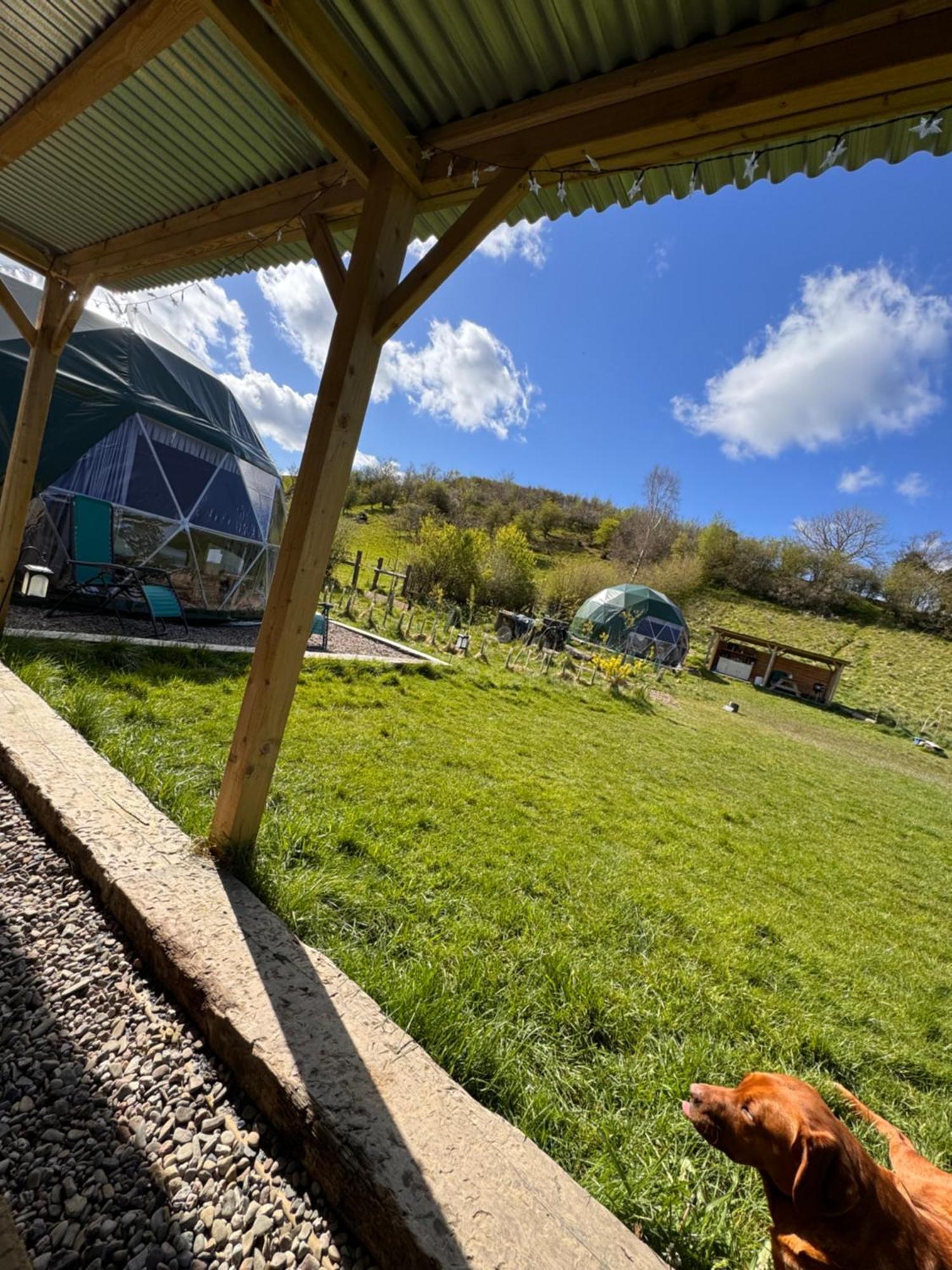 Hotel Geodesic Dome Glamping Llanidloes Zewnętrze zdjęcie